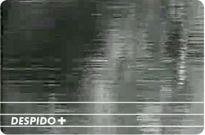 DESPIDO DESPIDO